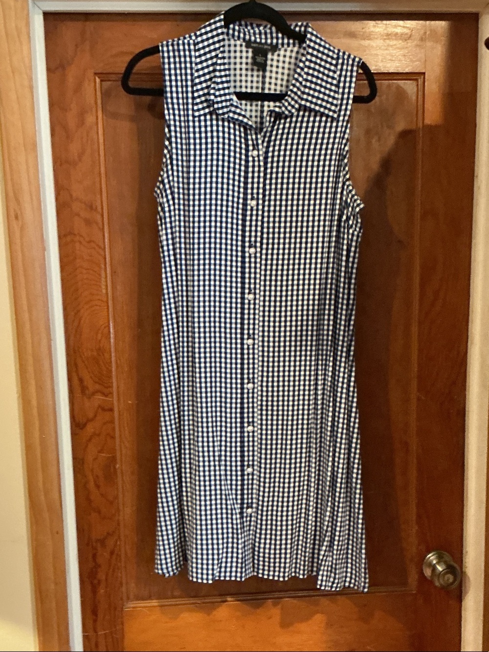 Sleeveless Blue Gingham Button-Front Dress